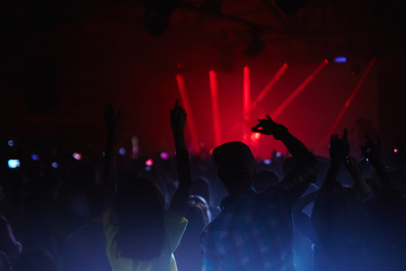 Group of fans during a concert