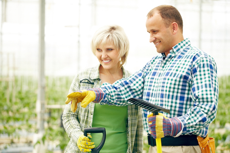 Two farmers working in gardenの写真素材