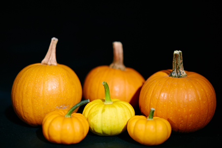 Group of big and small pumpkins isolated on blackの写真素材