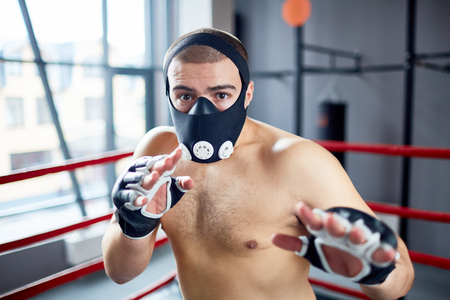 Boxer Training in Endurance Maskの写真素材