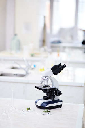 Workplace of chemist in scientific laboratory with microscope and two petri dishes