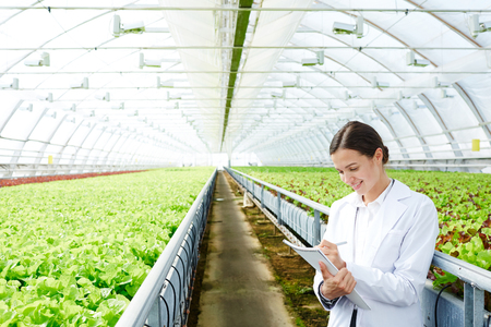 Portrait of a beautiful caucasian woman in lettuce standing over a white backgroundの写真素材