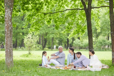 Family on picnicの写真素材