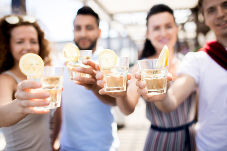 Friends Enjoying Drinks at Party