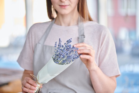 Blue lavenderの写真素材