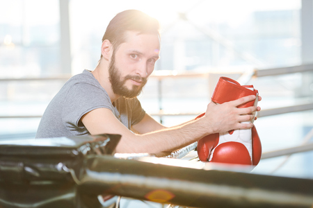 Young boxerの写真素材