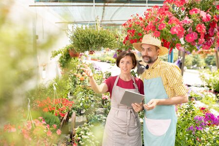 Two farmers of gardeners in aprons looking at one of flowersの写真素材