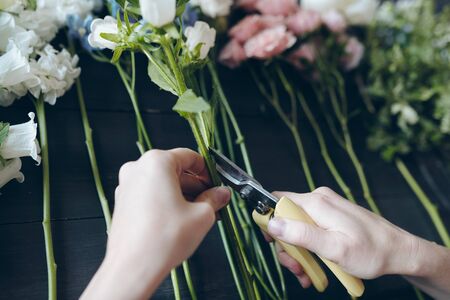 Close-up of unrecognizable female florist using hand prunersの写真素材