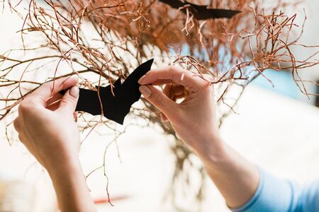 Hands of girl holding black paper bat by dry branches while decorating home for halloween before the holidayの写真素材