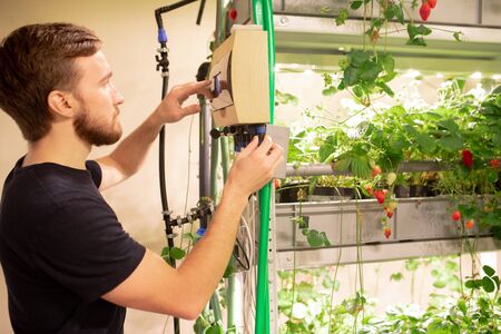 Young bearded gardener using greenhouse environmental controller while regulating greenhouse...
