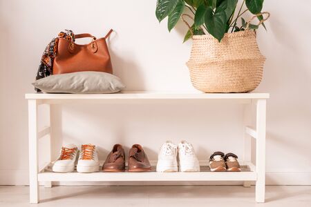 Leather bag on pillow, domestic plant and footwear on white shelves by wallの写真素材