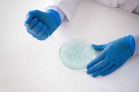 Close-up of unrecognizable lab specialist sitting at table and taking sample from petri dish while...