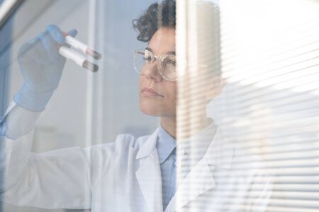 Busy female lab scientist standing at window and working with blood samples in test tubesの写真素材