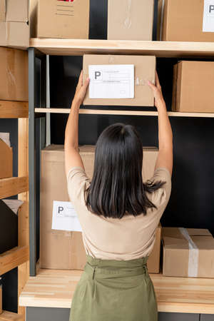 Back view of young female manager with dark long hair taking box from shelfの写真素材
