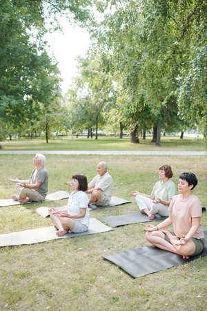 Group of spiritual mature people sitting in half lotus position and meditating with closed eyes in parkの写真素材