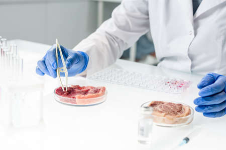 Gloved hands of researcher in whitecoat taking tiny sample of raw meatの写真素材
