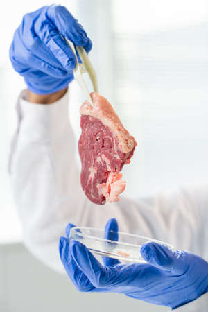Gloved hands of contemporary researcher holding sample of raw vegetable meat