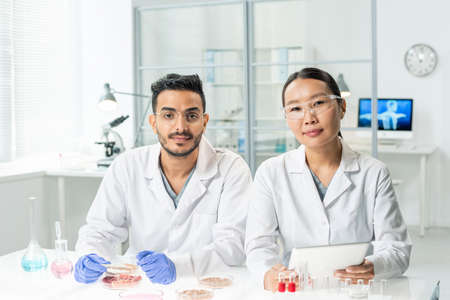 Two young intercultural clinicians in whitecoats looking through online dataの写真素材