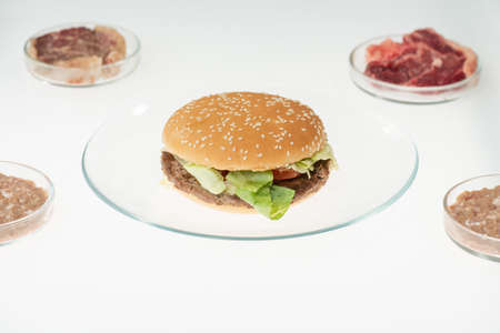 Plate with hamburger standing on table between four samples of various raw meatの写真素材