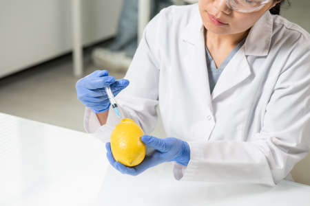 Gloved hands of contemporary young female scientist in whitecoat injecting lemon