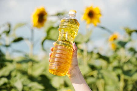 Hand of young contemporary female farmer holding bottle with fresh sunflower oilの写真素材