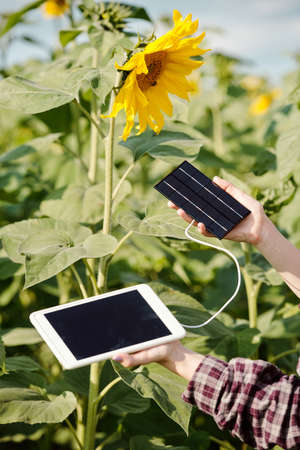 Hands of young female farmer holding digital tablet plugged to solar battery