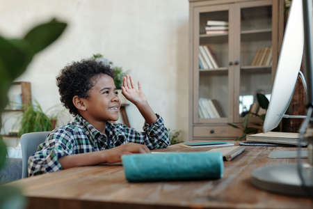 Happy little schoolboy sitting in front of computer monitor during online lesson