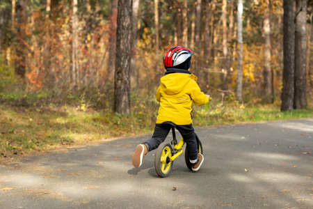 Rear view of little boy in casualwear and helmet sitting on balance bicycleの写真素材
