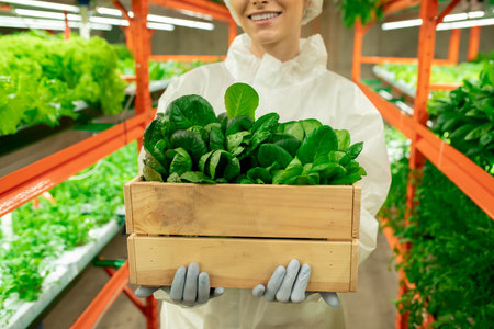 Gloved female agroengineer in protective workwear holding spinach seedlingsの写真素材