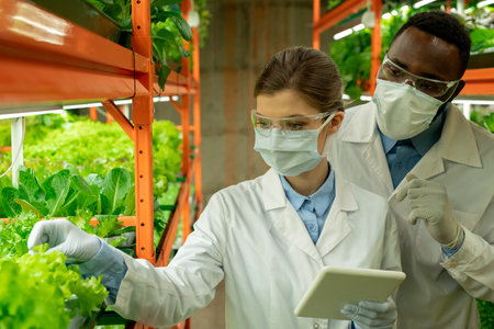 Young agroengineers standing in aisle between shelves with green seedlingsの写真素材