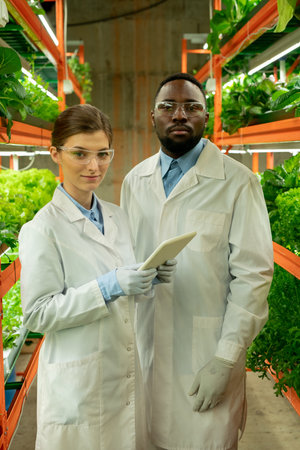 Two young confident researchers standing between shelves with green seedlingsの写真素材