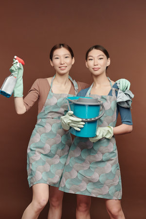 Happy young female in apron and gloves embracing her twin sister with bucketの写真素材