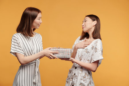 Young gorgeous woman in striped dress passing wrapped giftbox to twin sisterの写真素材