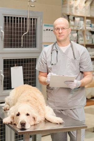 Dog has a problem with healthの写真素材