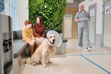 People with dog at vet clinicの写真素材