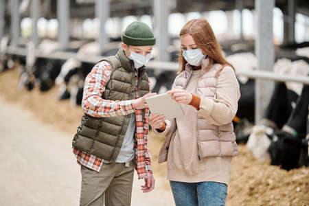 Female worker of animal farm and boy in protective masks discussing online dataの写真素材