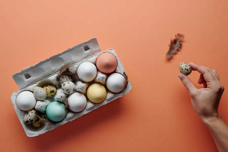 Chicken and quail eggsの写真素材