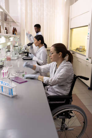 Disabled scientist sitting at the table and working with samples in test tubes with her colleagues...