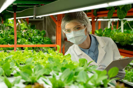 Young agroengineer in goggles, mask and cap standing at vertical farm greenhouse and making notes...