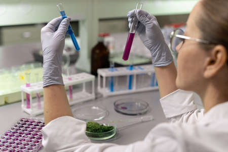 Gloved female scientist or chemist holding two flasks with liquid compounds