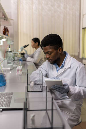 Young male scientist in whitecoat experimenting with white mice in laboratory