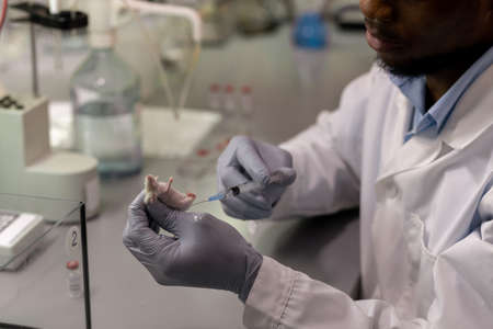 Gloved African scientist testing new vaccine on white mouse