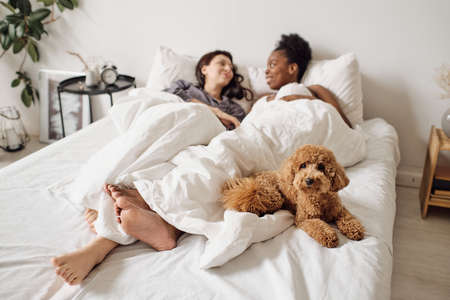 Cute pet dog lying on bed with two happy intercultural girlsの写真素材