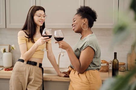 Two happy females clinking with glasses of red wine in the kitchenの写真素材