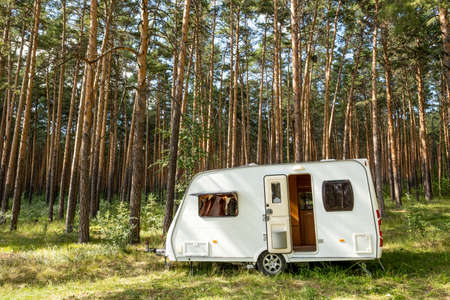 Small mobile house with open window and door standing in pinetree forestの写真素材