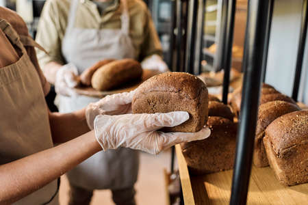 Gloved hands of young woman going to put fresh loaf of bread on displayの写真素材