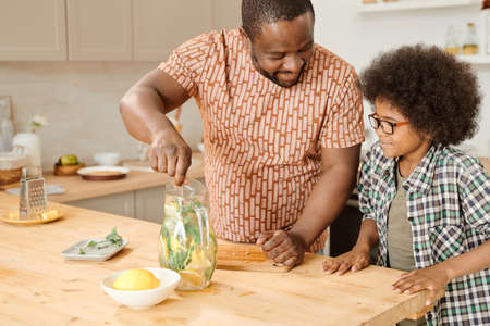 Little boy looking at his father mixing homemade lemonade with mint in jugの写真素材