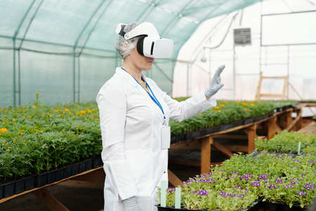 Contemporary greenhouse worker in vr headset touching virtual display while watching video about new...