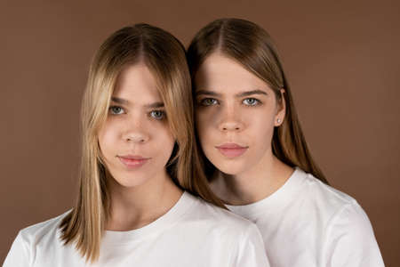 Two cute blond girls in white t-shirts standing in studio against brown backgroundの写真素材