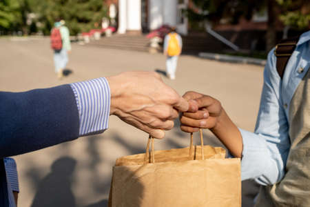 Contemporary schoolboy taking paperbag with food for lunch passed by his motherの写真素材